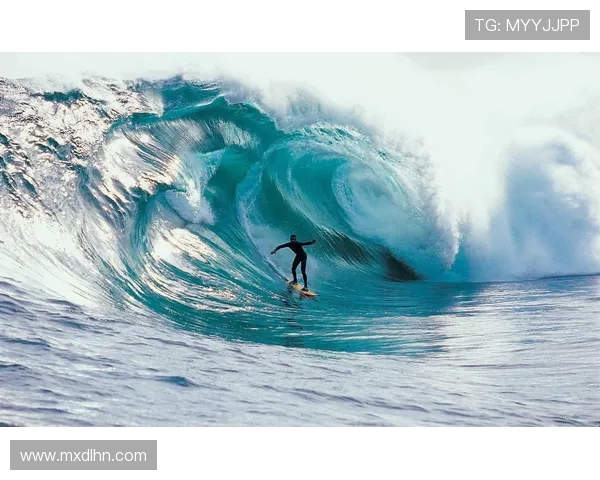 跳水运动的技艺与挑战：探索从入水到飞跃的极限之美